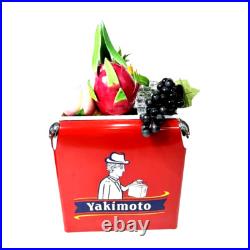 Metal Cooler Yakimoto 13L Retro Ice Chest for BBQ Camping Picnic Fashing Party